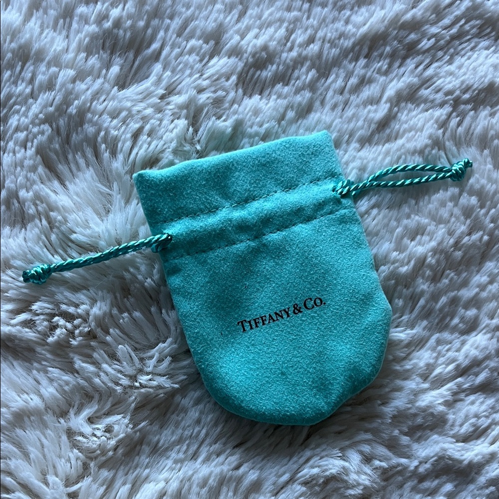 Authentic Tiffany & Co. Turquoise Jewelry Pouch